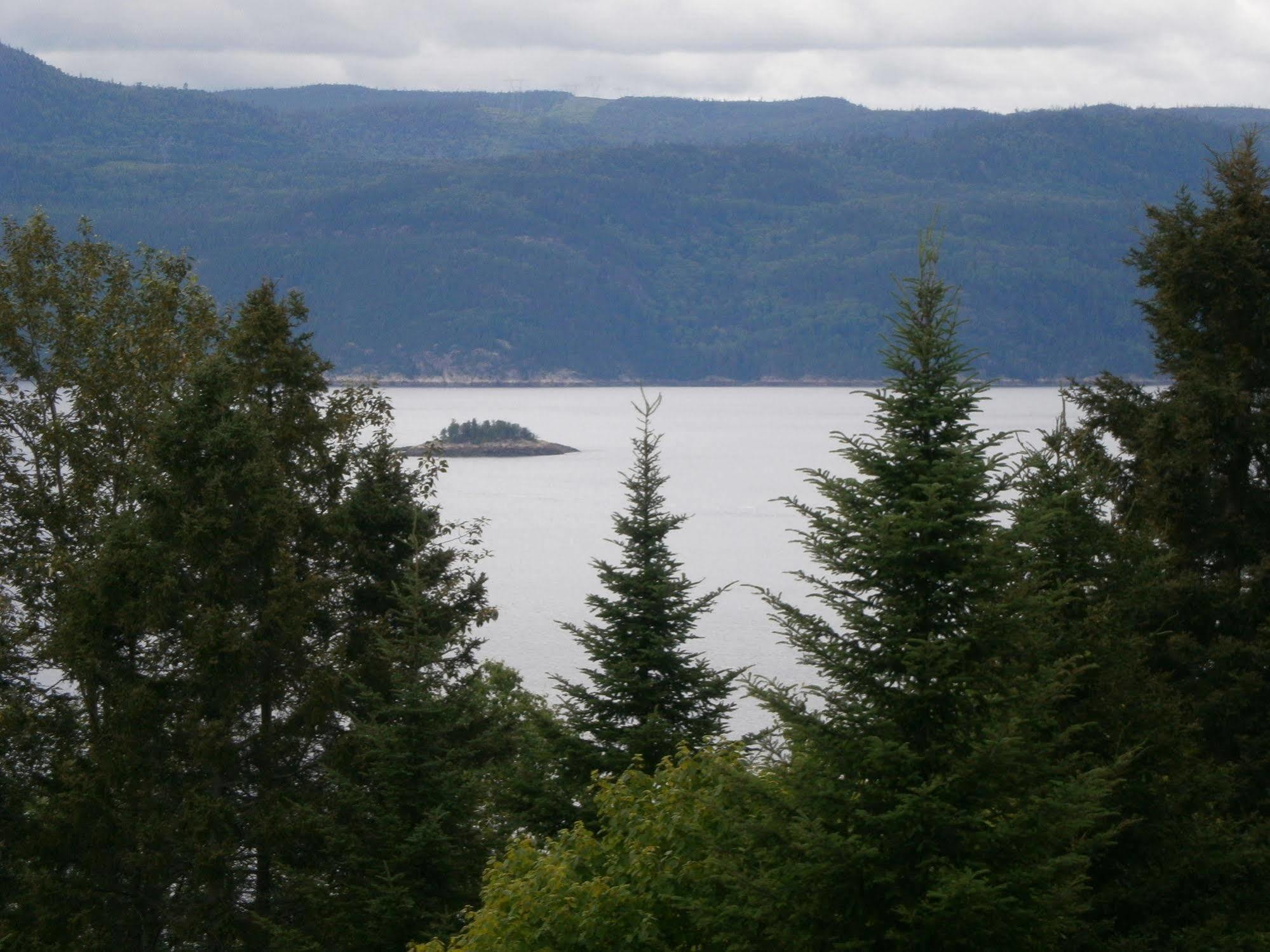 Panoramique Du Fjord Apartment L'Anse-Saint-Jean Bagian luar foto