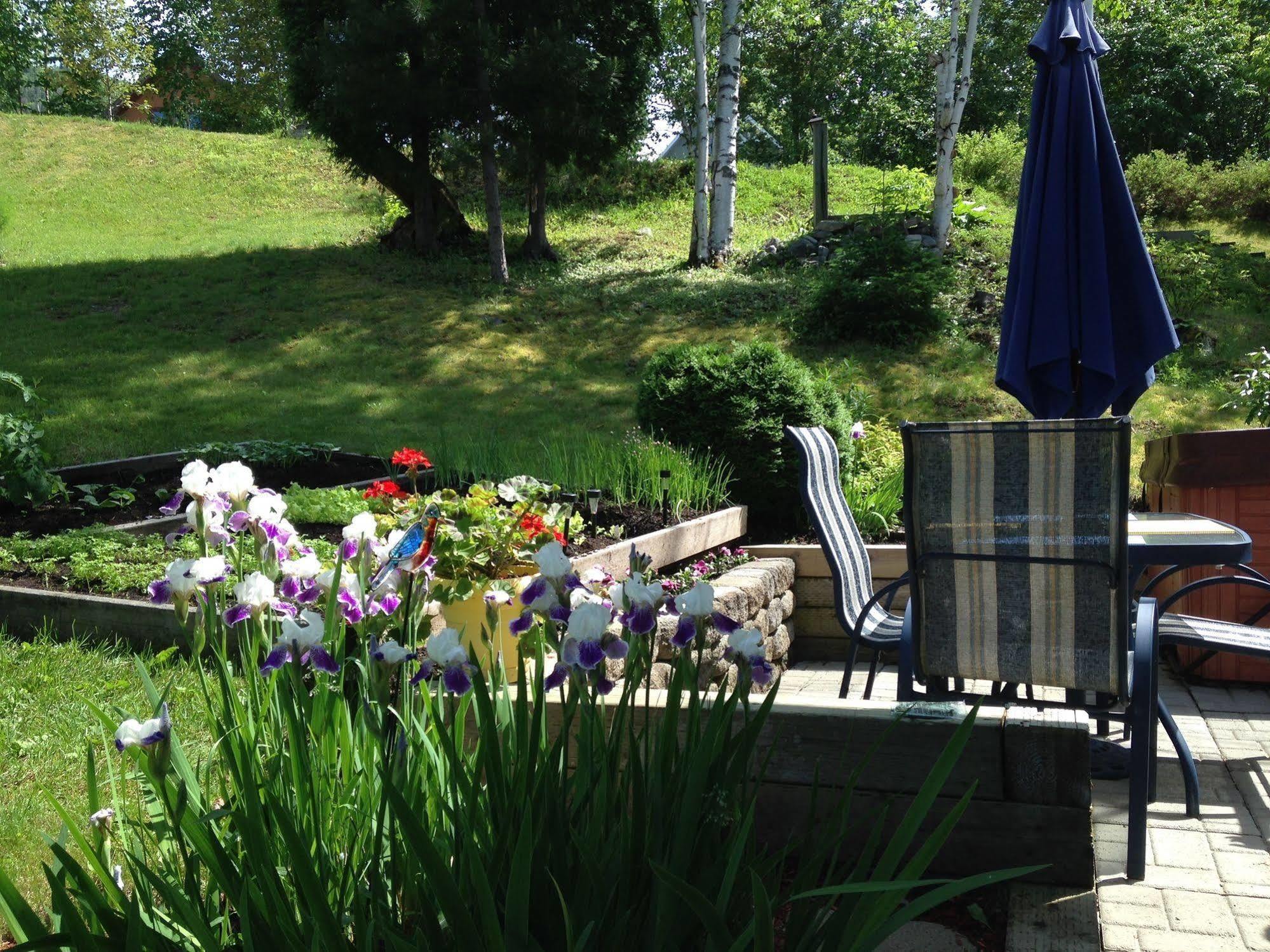 Panoramique Du Fjord Apartment L'Anse-Saint-Jean Bagian luar foto
