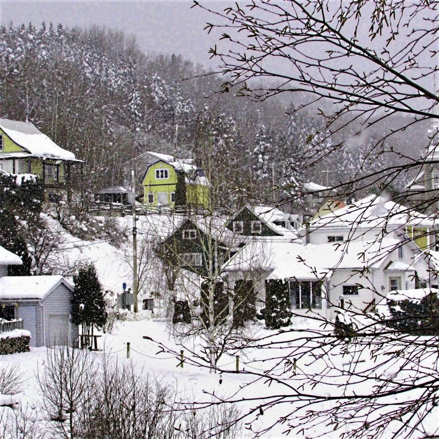 Panoramique Du Fjord Apartment L'Anse-Saint-Jean Bagian luar foto